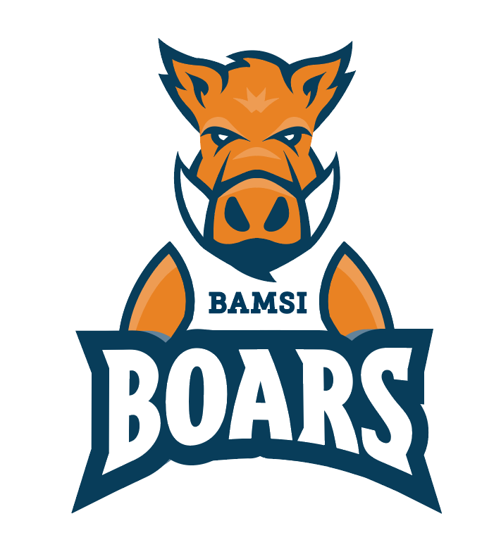 BAMSI Boars mascot